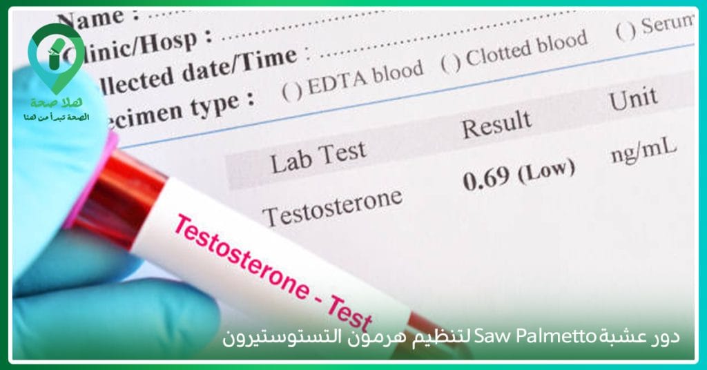 فوائد عشبة البلميط المنشاري الحل الطبيعي والصحي للبروستاتا، البلميط المنشاري، ساو بالميتو، فوائد كبسولات ساو بالميتو، فوائد البلميط المنشاري للانتصاب، طريقة استخدام البلميط المنشاري للبروستاتا، فوائد عشبة البلميط المنشاري، فوائد saw palmetto للنساء، مكمل ساو بالميتو، سعر كبسولات ساو بالميتو، saw palmetto تجربتي، saw palmetto أضرار