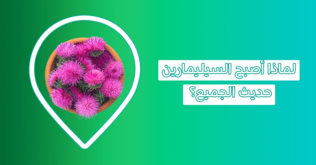 silymarin دواء لصحة الكبد.. فوائد خفية تنتظرك