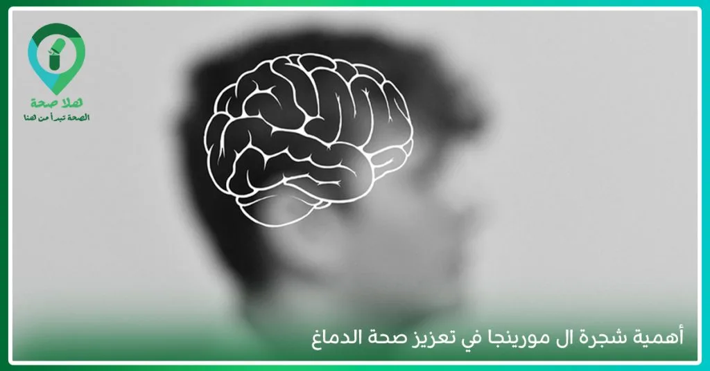 منافع عشبة المورينجا "شجرة المعجزات" 5 منافع عشبة المورينجا