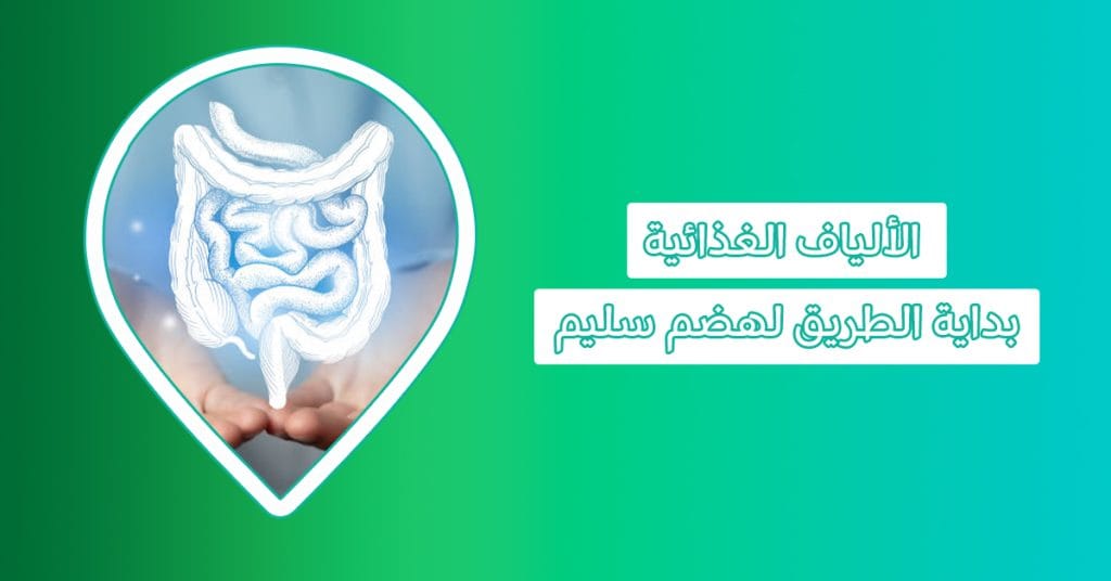 اكتشف كيف تدعم انواع اكل الالياف صحة جهازك الهضمي والأمعاء، أين أجد الألياف في الطعام، انواع الألياف، ما هي الألياف الغذائية، الأطعمة المليئة بالألياف، الفواكه الغنية بالالياف، الأكل الغني بالالياف لتجنب الإمساك، مشروب غني بالألياف، فطور غني بالألياف، فوائد الألياف