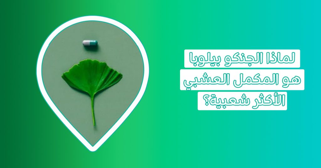 جنكو بلوبا: النبتة التي لا تُقدر فوائدها بثمن، أعرفها الآن - Ginkgo Biloba - جنكو بيلوبا - جنكو بلوبا - فوائد عشبة الجنكة للنساء - فوائد عشبة الجنكة للجنس - فوائد الجنكة للأعصاب - اضرار الجينكو بيلوبا - أفضل نوع جنكو بيلوبا - تجربتي مع حبوب الجنكة - متى يبدأ مفعول حبوب الجنكة