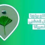 جنكو بلوبا: النبتة التي لا تُقدر فوائدها بثمن، أعرفها الآن   Ginkgo Biloba   جنكو بيلوبا   جنكو بلوبا   فوائد عشبة الجنكة للنساء   فوائد عشبة الجنكة للجنس   فوائد الجنكة للأعصاب   اضرار الجينكو بيلوبا   أفضل نوع جنكو بيلوبا   تجربتي مع حبوب الجنكة   متى يبدأ مفعول حبوب الجنكة