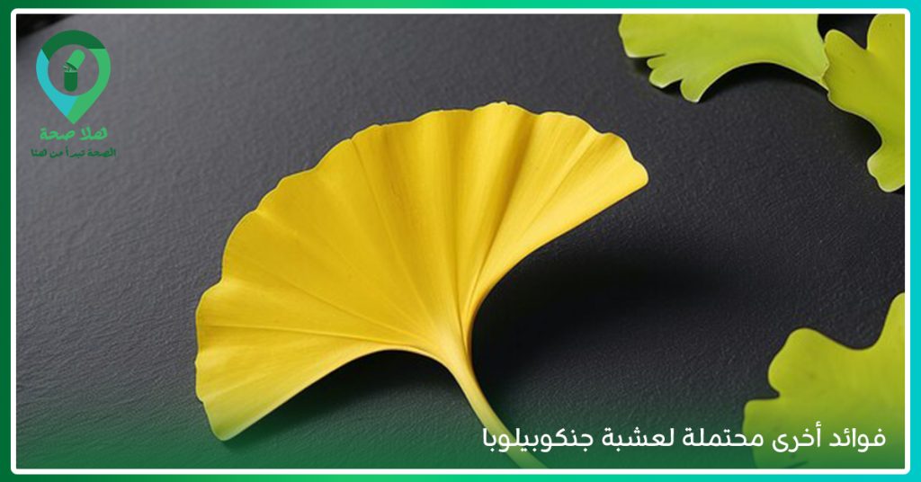 جنكو بلوبا: النبتة التي لا تُقدر فوائدها بثمن، أعرفها الآن - Ginkgo Biloba - جنكو بيلوبا - جنكو بلوبا - فوائد عشبة الجنكة للنساء - فوائد عشبة الجنكة للجنس - فوائد الجنكة للأعصاب - اضرار الجينكو بيلوبا - أفضل نوع جنكو بيلوبا - تجربتي مع حبوب الجنكة - متى يبدأ مفعول حبوب الجنكة