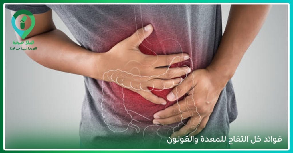ما اضرار وفوائد خل التفاح للتخسيس وحرق دهون البطن؟ 2 فوائد خل التفاح للمعدة والقولون