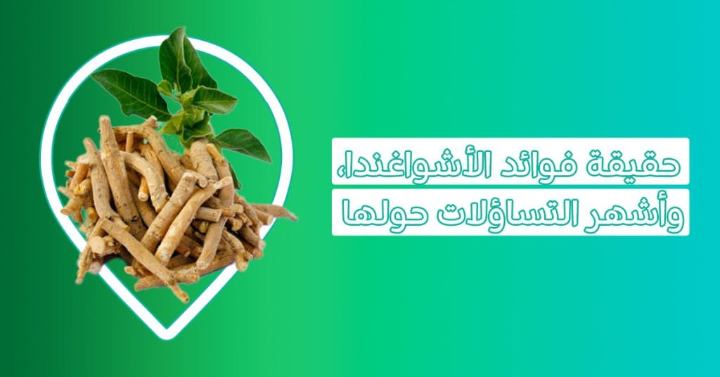 فوائد عشبة ashwagandha-فوائد الاشواغندا-نبتة الاشواجندا