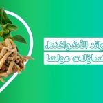 فوائد عشبة ashwagandha فوائد الاشواغندا نبتة الاشواجندا