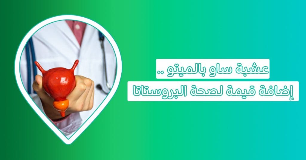 فوائد عشبة البلميط المنشاري الحل الطبيعي والصحي للبروستاتا