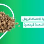 فوائد عشبة الحسك حبوب تريبولوس للرجال عشبة تريبولوس