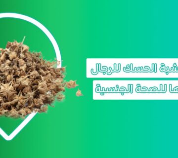 فوائد عشبة الحسك حبوب تريبولوس للرجال عشبة تريبولوس