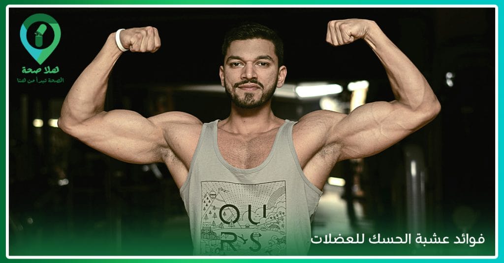 ما فوائد تريبولوس لكمال الأجسام؟ وما فوائد عشبة الحسك للعضلات؟
