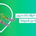 فوائد كف مريم لفتح الرحم وفوائد كف مريم للعزباء  فوائد عشبة فيتكس وما أضرار عشبة كف مريم؟
