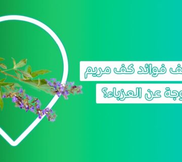 فوائد كف مريم لفتح الرحم وفوائد كف مريم للعزباء  فوائد عشبة فيتكس وما أضرار عشبة كف مريم؟