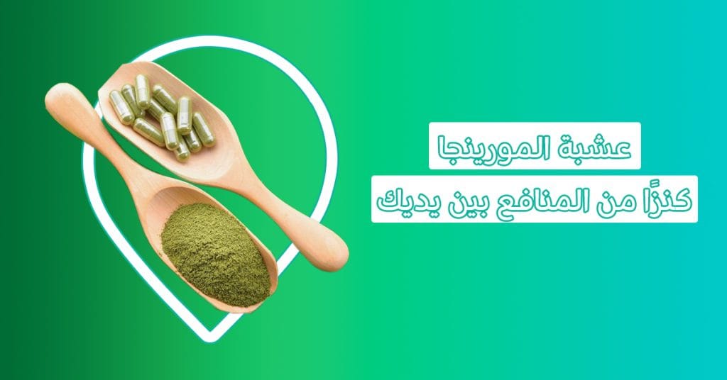 منافع عشبة المورينجا