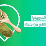 منافع عشبة المورينجا