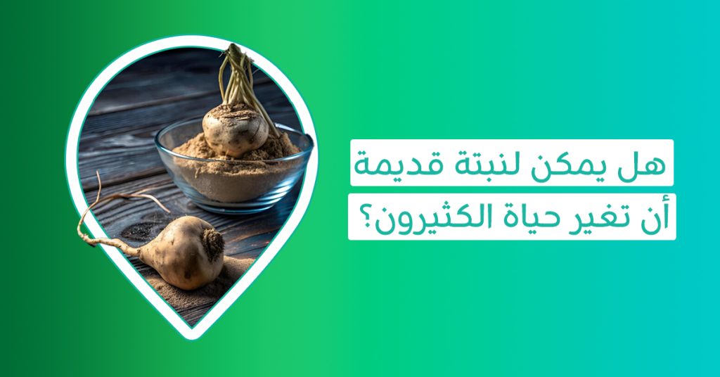 تبحث عن مصدر طاقة دائم؟ اكتشف فوائد عشب الماكا لصحتك