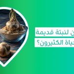 تبحث عن مصدر طاقة دائم؟ اكتشف فوائد عشب الماكا لصحتك   فوائد حبوب الماكا للنساء   عشبة الماكا، حبوب الماكا، فوائد حبوب الماكا للرجال، فوائد عشبة الماكا للجنس، جذور الماكا، الماكا روت، فوائد حبوب الماكا للنساء للتسمين، نبتة الماكا، طريقة استخدام عشبة الماكا للجنس، هل حبوب الماكا تزيد الوزن، هل حبوب الماكا تزيد الوزن، حبوب ماكا للرجال، كبسولات الماكا للنساء، تجربتي مع حبوب الماكا لتكبير المؤخرة، عشبة maca، نبتة ماكا، أضرار الماكا للرجال، متى تظهر نتائج حبوب الماكا، كبسولات الماكا، بذور الماكا