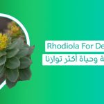 Rhodiola For Depression أضرار عشبة الروديولا الروديولا والاشواجندا أفضل وقت لتناول الروديولا فوائد مكمل الروديولا نبتة الروديولا عشبة الروديولا rhodiola rosea فوائد حبوب الروديولا ماهي عشبة الروديولا الروديولا