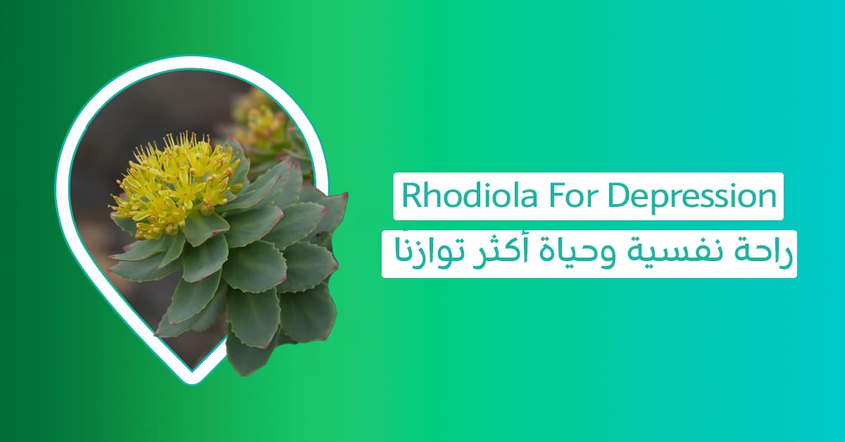 Rhodiola For Depression-أضرار عشبة الروديولا-الروديولا والاشواجندا-أفضل وقت لتناول الروديولا-فوائد مكمل الروديولا