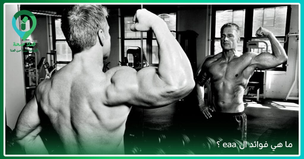 هل EAA مكمل هو ما تحتاجه بالفعل لزيادة مستوى البروتين أم بدائله أفضل؟ 2 eaa essential amino