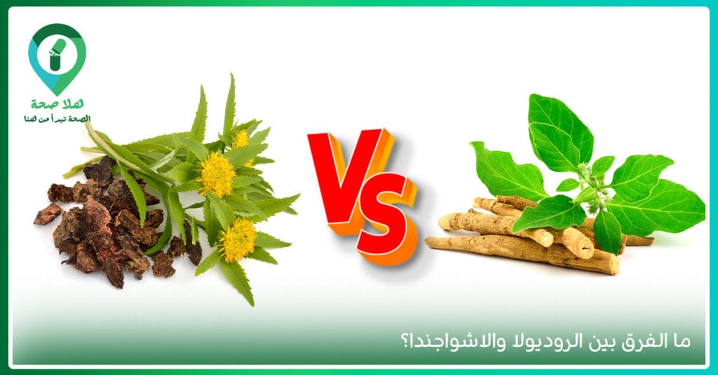 لا طاقة؟ لا مزاج؟ Rhodiola for Depression قد تكون فرصتك للتوازن من جديد 3 أضرار عشبة الروديولا-تجربتي مع الروديولا-فوائد الروديولا للجنس-مكمل الروديولا-فوائد الروديولا للنساء