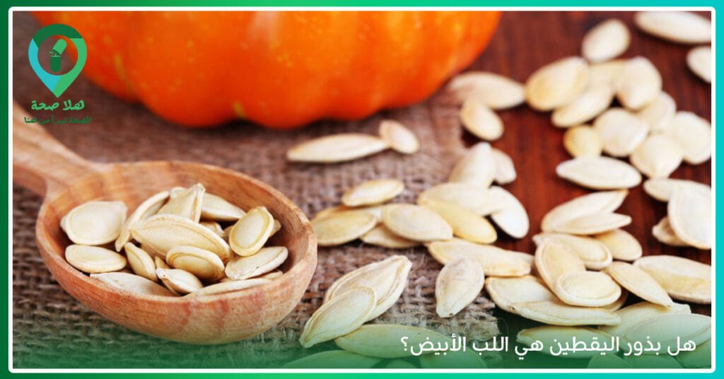 لماذا أصبحت فوائد بذور اليقطين سرًا مشتركًا بين خبراء التغذية؟ 3 بذور اليقطين فوائدها-بذور اليقطين القيمة الغذائية-طريقة استخدام زيت اليقطين-فايدة حب القرع-فوائد بذور القرع للجسم