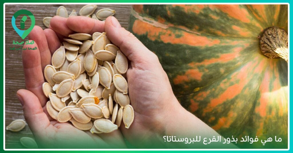 لماذا أصبحت فوائد بذور اليقطين سرًا مشتركًا بين خبراء التغذية؟ 2 فوائد بذور القرع-pumpkin seeds فوائد-شكل بذور اليقطين-السعرات الحرارية في بذور القرع المحمص-بذور القرع والزنك