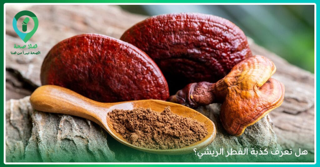 مكملات الفطر حلًا صحيًا لك أم مُجرد تُرهات في عالم المكملات؟ 4 فوائد الفطر