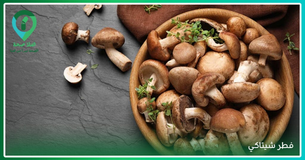 مكملات الفطر حلًا صحيًا لك أم مُجرد تُرهات في عالم المكملات؟ 7 فوائد الفطر