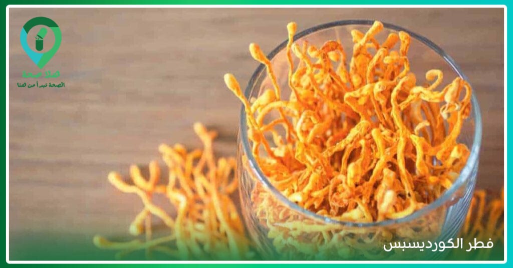 مكملات الفطر حلًا صحيًا لك أم مُجرد تُرهات في عالم المكملات؟ 8 فوائد الفطر
