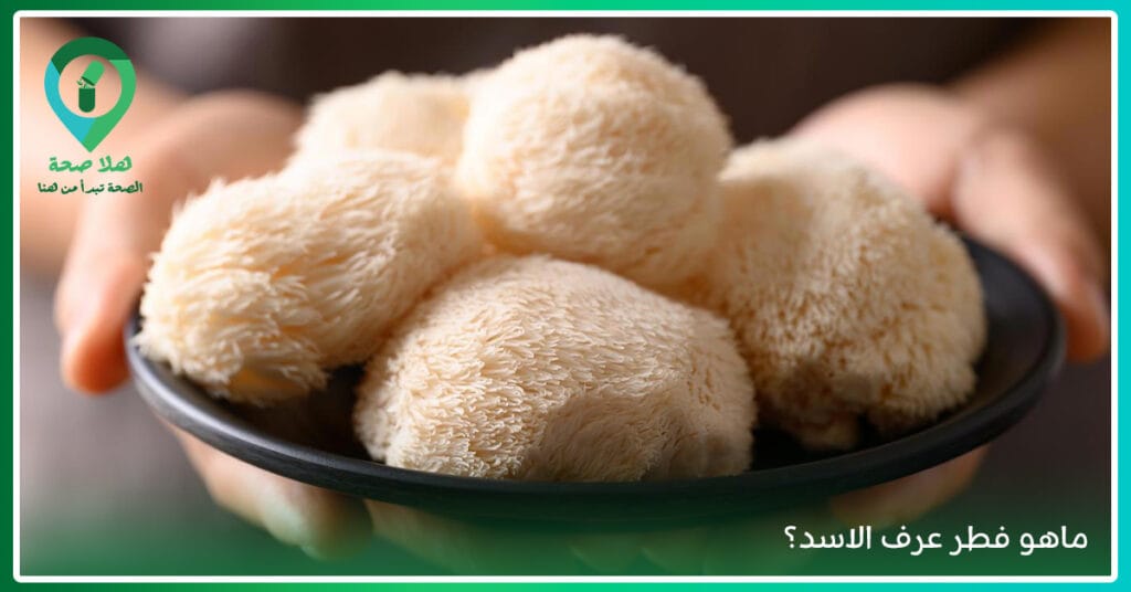 مكملات الفطر حلًا صحيًا لك أم مُجرد تُرهات في عالم المكملات؟ 6 فوائد الفطر