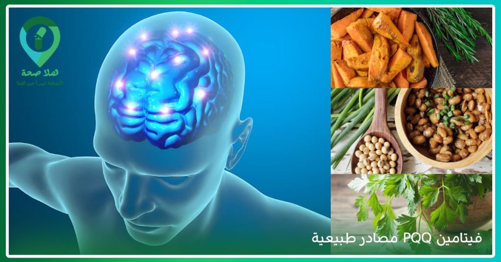 تُعد PQQ Tablets من الخيارات التي يبحث عنها المهتمون بـ مكمل غذائي لتقوية الذاكرة، ويستخدم البعض اسم بي كيو كيو عند البحث، كما تساعد مراجعة pqq supplement reviews ومقارنة pqq capsules في اختيار المنتج المناسب.