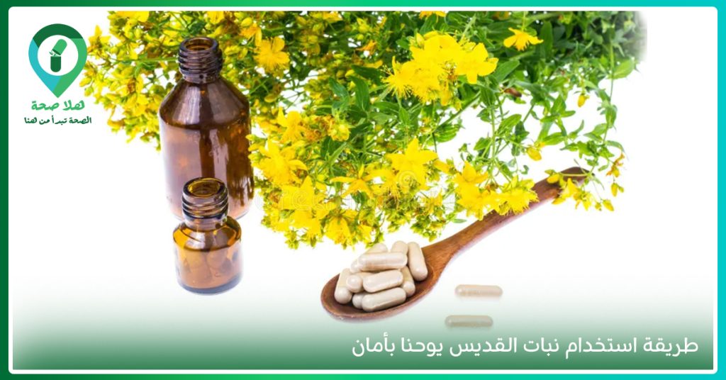 تعرف على نبات القديس يوحنا، واكتشف فوائد حبوب سانت جون وأبرز أضرار عشبة سانت جون قبل الاستخدام.